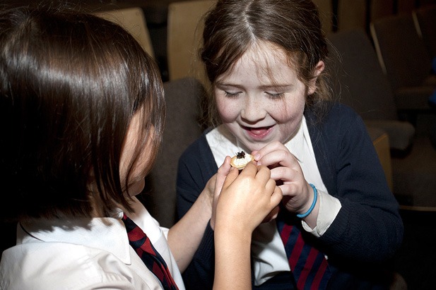 Children from St Peter’s Primary School, Harrogate, try out meal worms as part of an insect-tasting event at Fountains Abbey, Harrogate to mark National Insect Week 2012