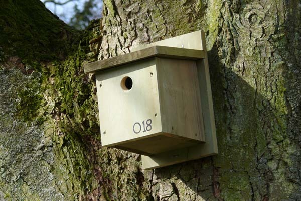One of 45 bird boxes put up by CIRCLE research interns at Flamingo Land Theme Park and Zoo