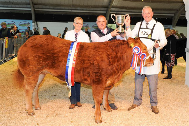 Sharon-Sellers-(left)-and-Phil-Sellers-(far-right)-winners-of-the-cattle-championship-at-Countryside-Live-with-their-Limousin-X-heifer,-‘More-of-That’,-seen-here-with-sponsor-Martin-Wood-of-Ripon-Sele
