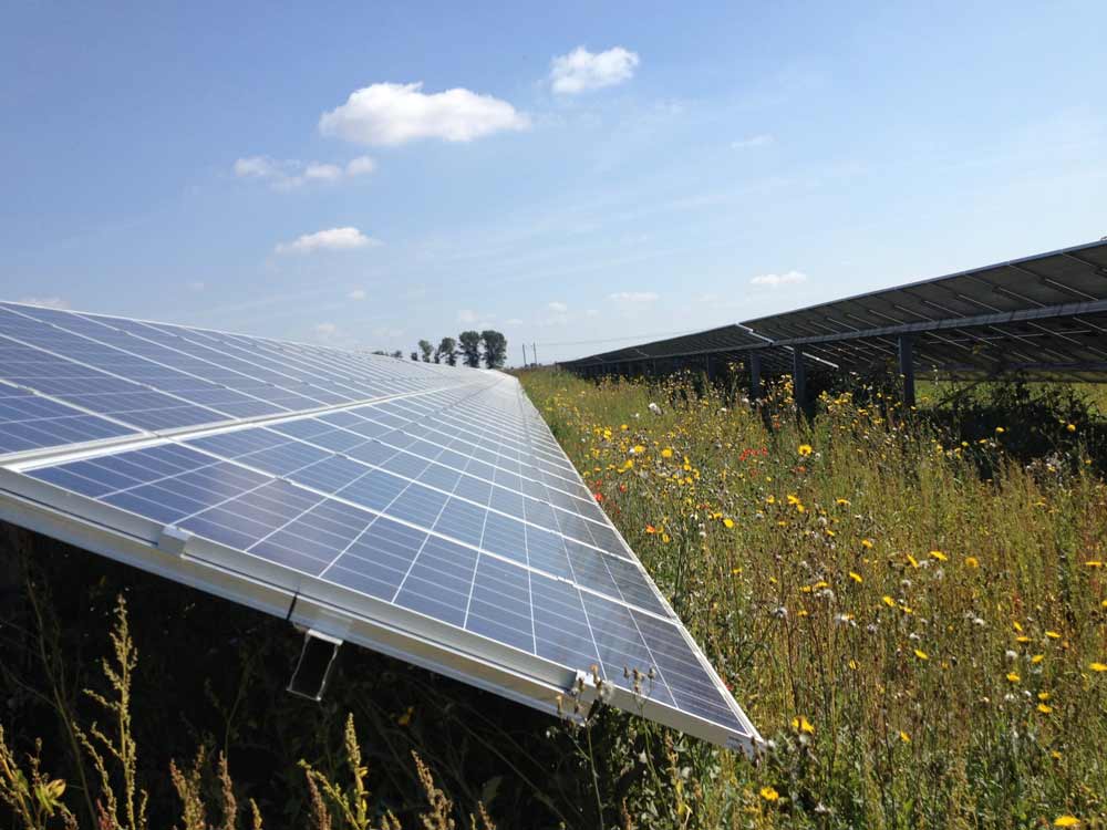Chittering-solar-farm
