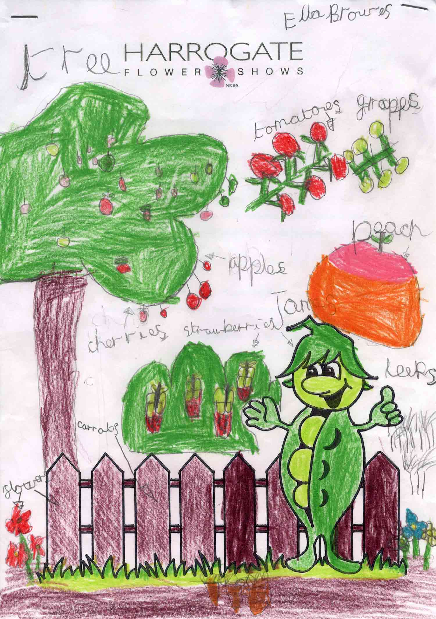 Ella Browes, Ashville Pre-Prep School winning picture for Key Stage 1 category