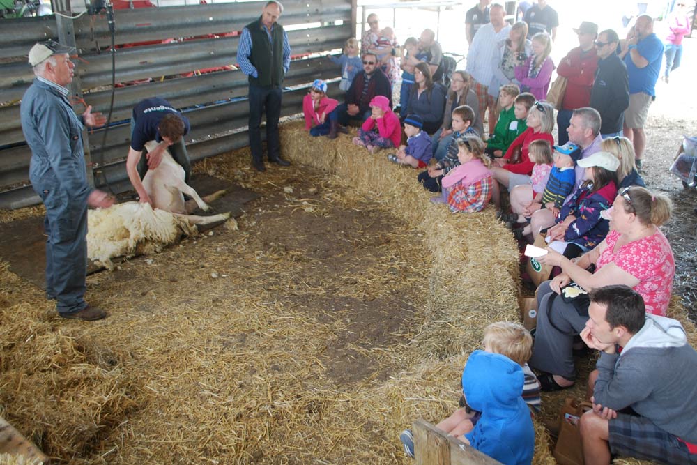 The Hildreth family will open their gates for Open Farm Sunday for the fourth year on Sunday, June 5