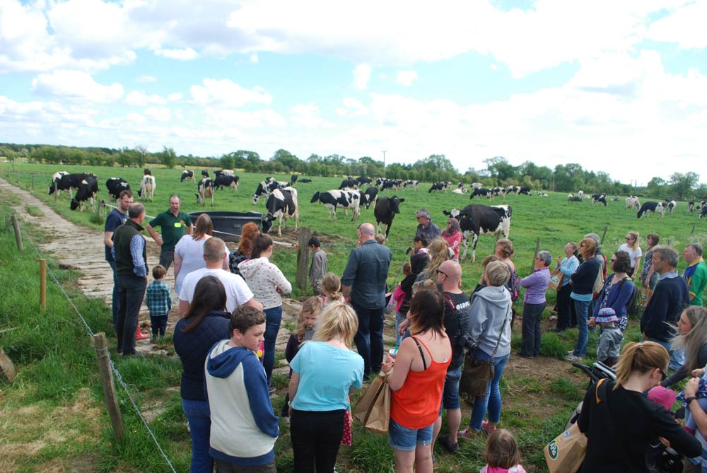 Curlew Fields Farm attracts hundreds of visitors for Open Farm Sunday