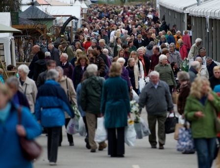 Harrogate Flower Show 2011