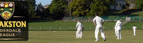 Cricket