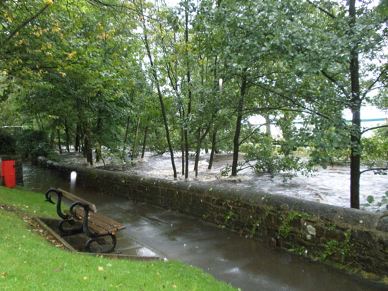 River at Pateley near showground - Michael Thompson River at Pateley near showground - Michael Thompson