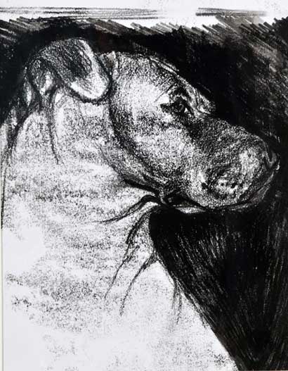 Caroline Machray for her drawing Composed Caroline Machray for her drawing Composed