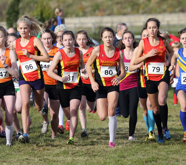 Harrogate Harriers Juniors Harrogate Harriers Juniors
