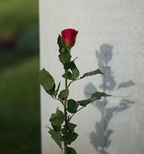 Remembrance Day in Harrogate 2012 (3)