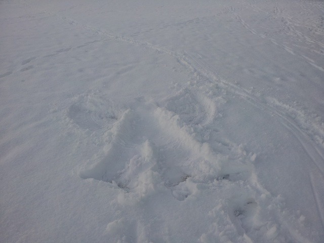 Hall Lane Snow Angel by Andy Nicholls