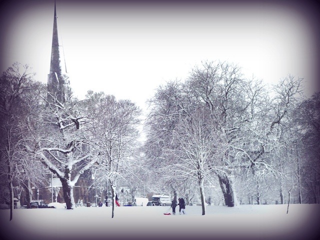 Harrogate Stray by Claire Blenkinsop