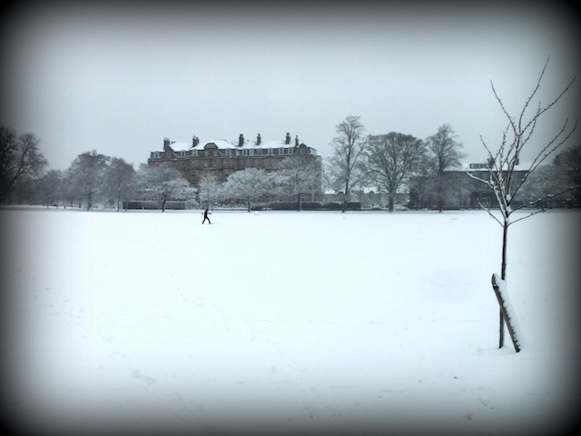 Harrogate Stray by Claire Blenkinsop