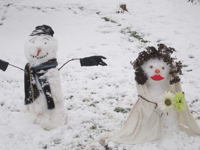 Meet Snownman and Snowlady Aplin, they were married on Friday 18 Jan by Karen-Moss