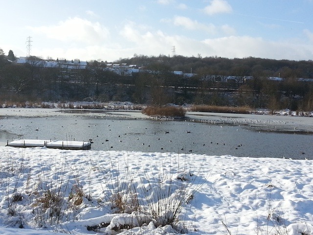 Rodley nature reserve in Leeds by Max Baldanza