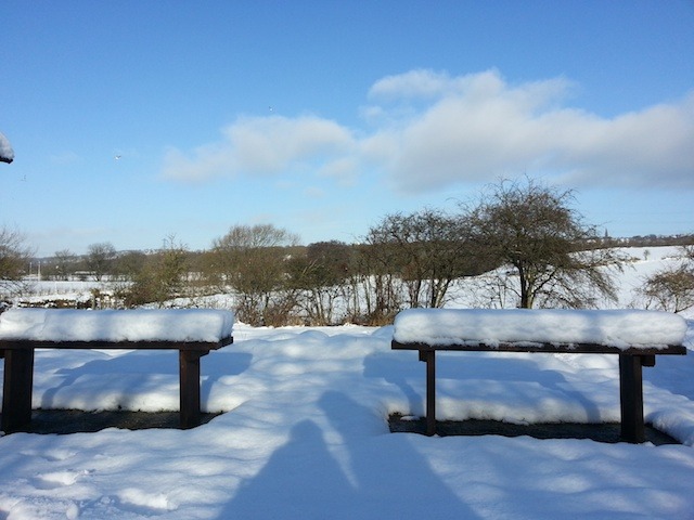 Rodley nature reserve in Leeds by Max Baldanza