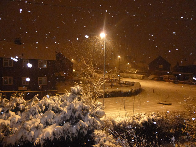 Untouched snow from last nights blizzard! by Stephen Petrie