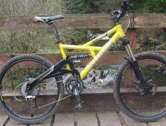 Yellow-Cannondale-Gemini-900