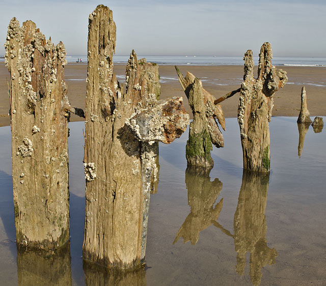 This image of the old groynes at Sandsend won the projected category for Hazel Shaw This image of the old groynes at Sandsend won the projected category for Hazel Shaw