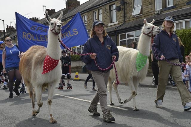 Bilton Gala 2013 021 2