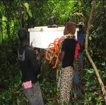 Men and women from Digoma village place bee hives in the Kilonga community rainforest 