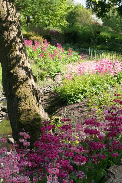 RHS Harlow Carr 1