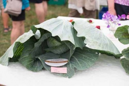 Boroughbridge Show07