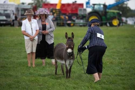 Boroughbridge Show28