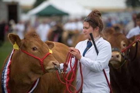 Boroughbridge Show31