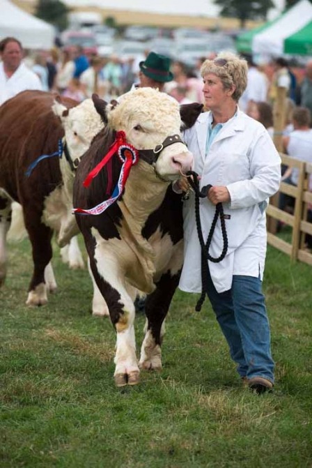 Boroughbridge Show33