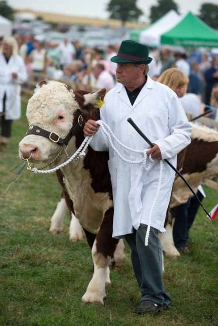 Boroughbridge Show34