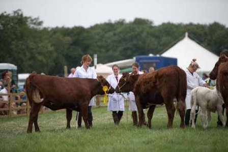 Boroughbridge Show35