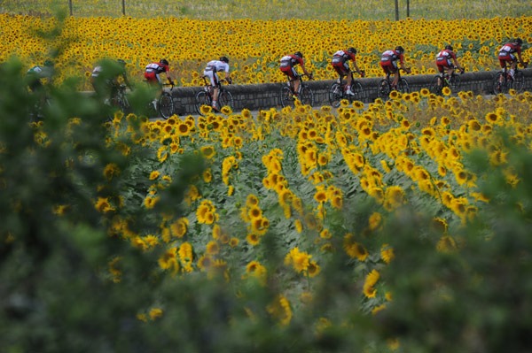 Le-Tour-and-Sunflowers