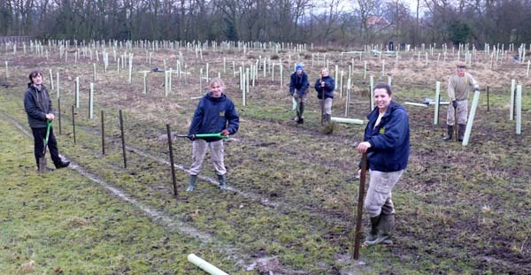 Flamingo Land staff and volunteers from the local community and University planting native trees in the park