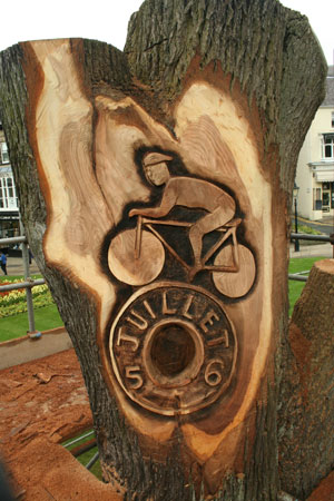 Woodenbikenew