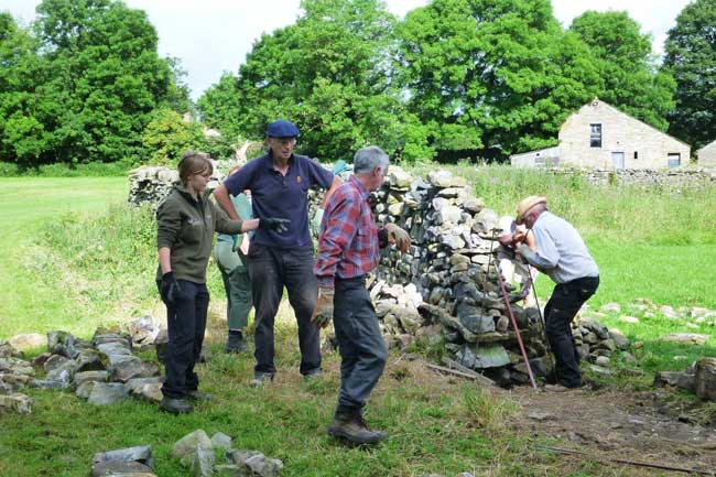 Suzannah Barningham (far left in photo – trainee at YDNPA) supervises the North West Walling volunteers in Hawes