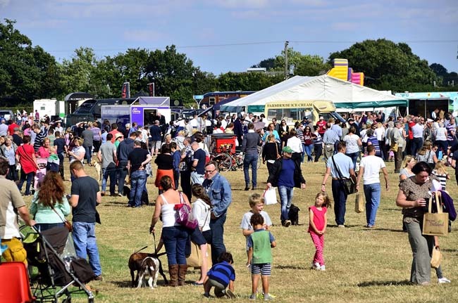 A very busy show field