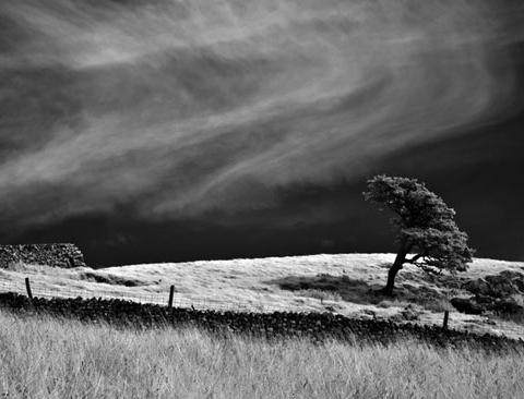 Mike-Wood's-Whistle-Down-the-Wind
