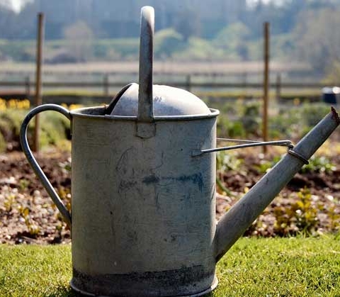 allotment