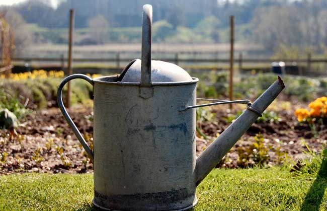 allotment