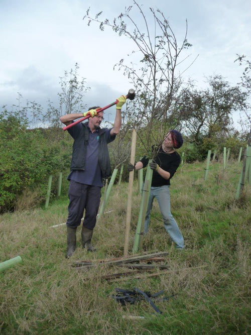 Paul Mosley and Katie Dobson secure a young sapling