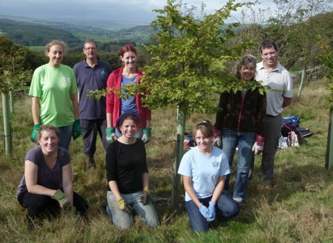 The volunteer team
