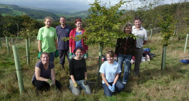 The volunteer team