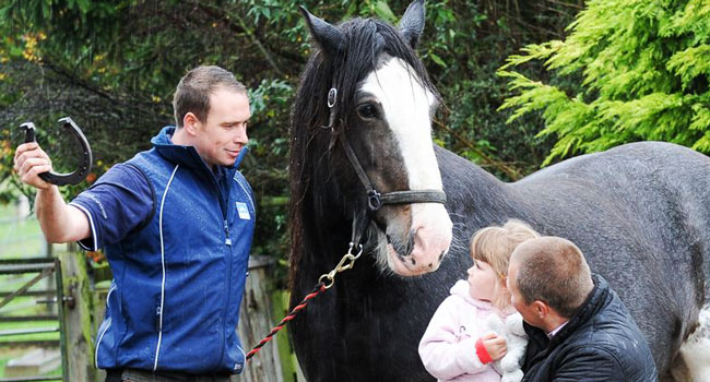 Adele Zebrauskaite and her father Darius with expert farrier Jason Gajczak who is getting ready for the World Team Championship farriery competition which will take place at Countryside Live