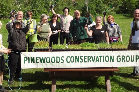 Pinewods Harrogate