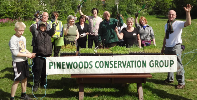 Pinewods Harrogate