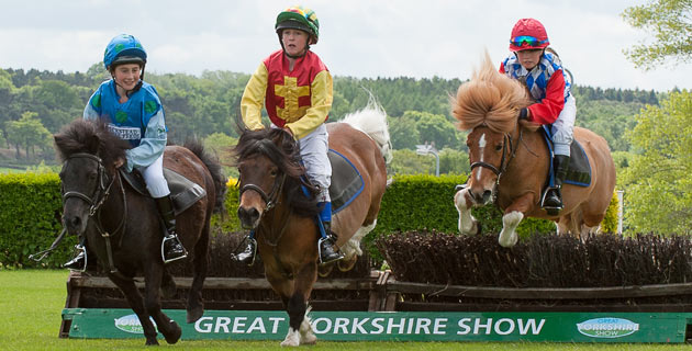 Shetland Pony Grand National competitors, Ruby Todd, 11, of Stanwick, Aldbrough St John riding Tilly, Charlotte Tindale,11, of Brompton on Swale, Richmond riding Bobby Jo, and Evie