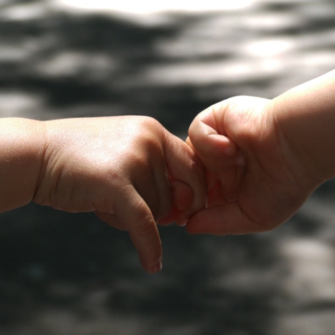 hands