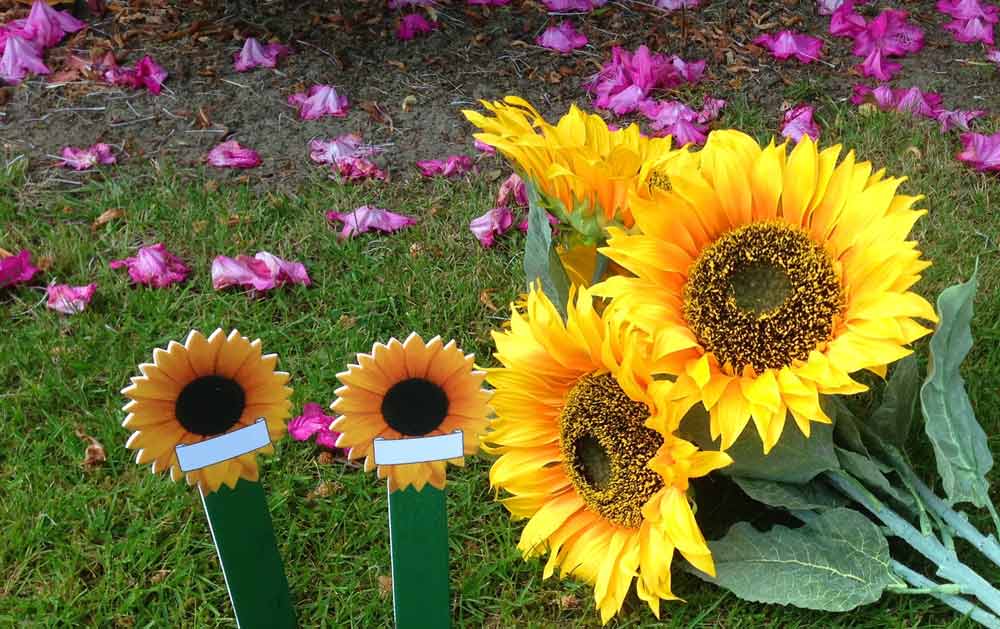 Dedicate a sunflower plaque to celebrate the life of someone special this summer at Saint Michael’s Hospice