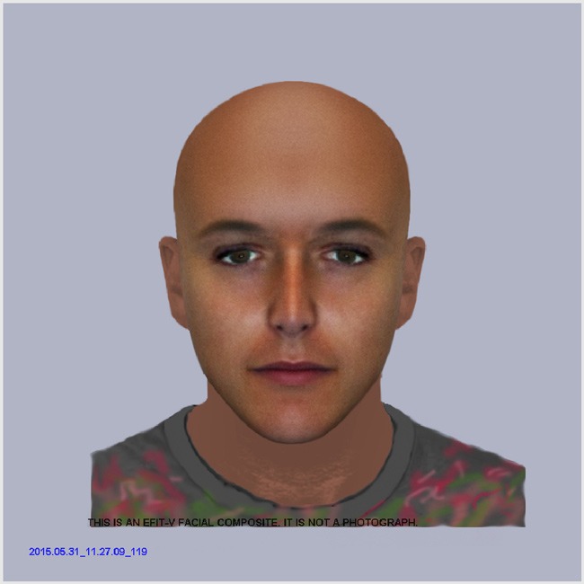 York-racially-aggravated-assault---e-fit-of-suspect---1-June-2015
