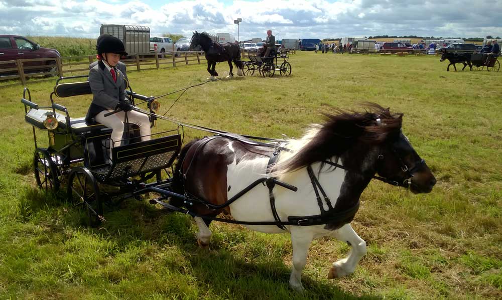 Aldborough and Boroughbridge show 2015